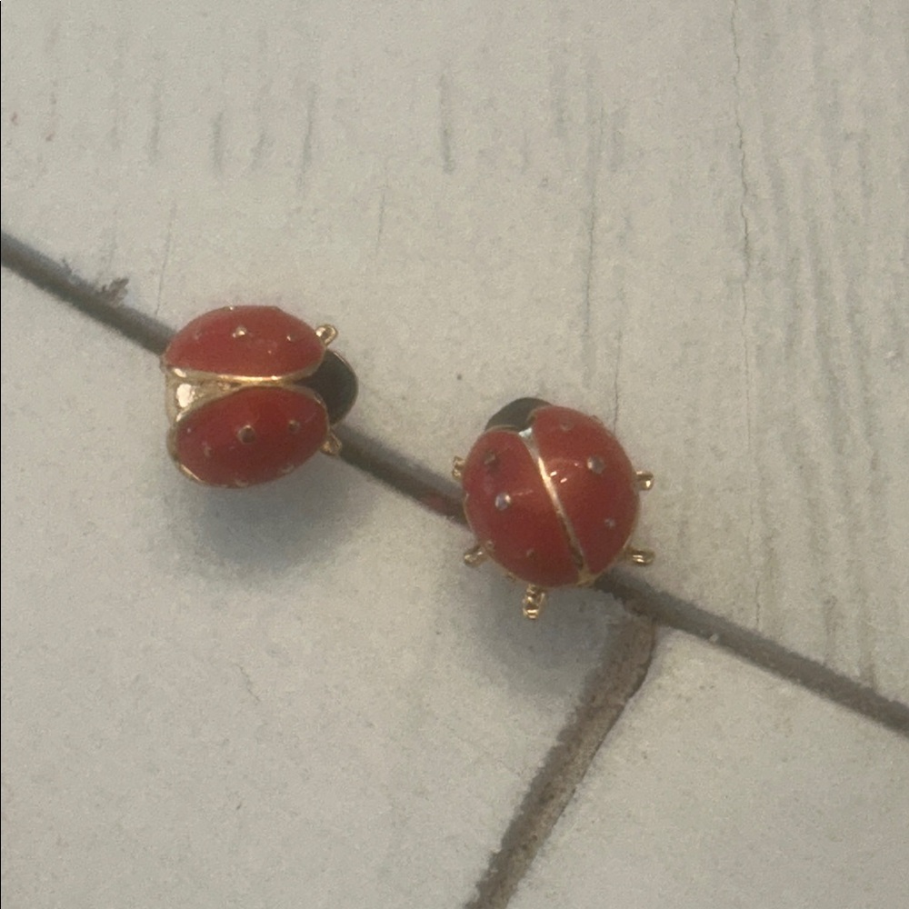 Ladybug pins/earings
kate spade